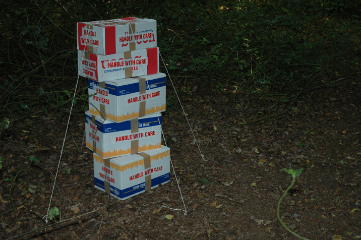 Cages 1–5. Dimensions variable. Cardboard boxes, string.